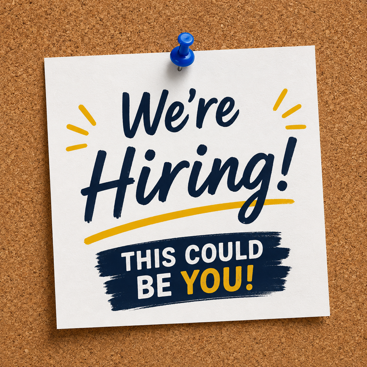 Territory Sales Manager